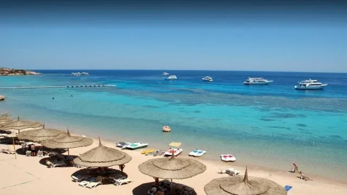 معلومات عن مرسى علم