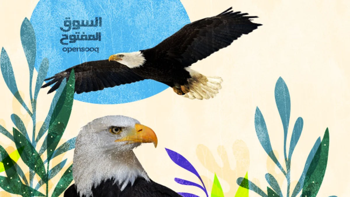 دليلك الشامل عن طائر النسر