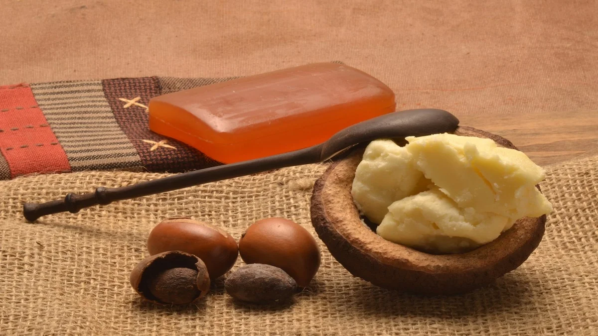 زبدة الشيا