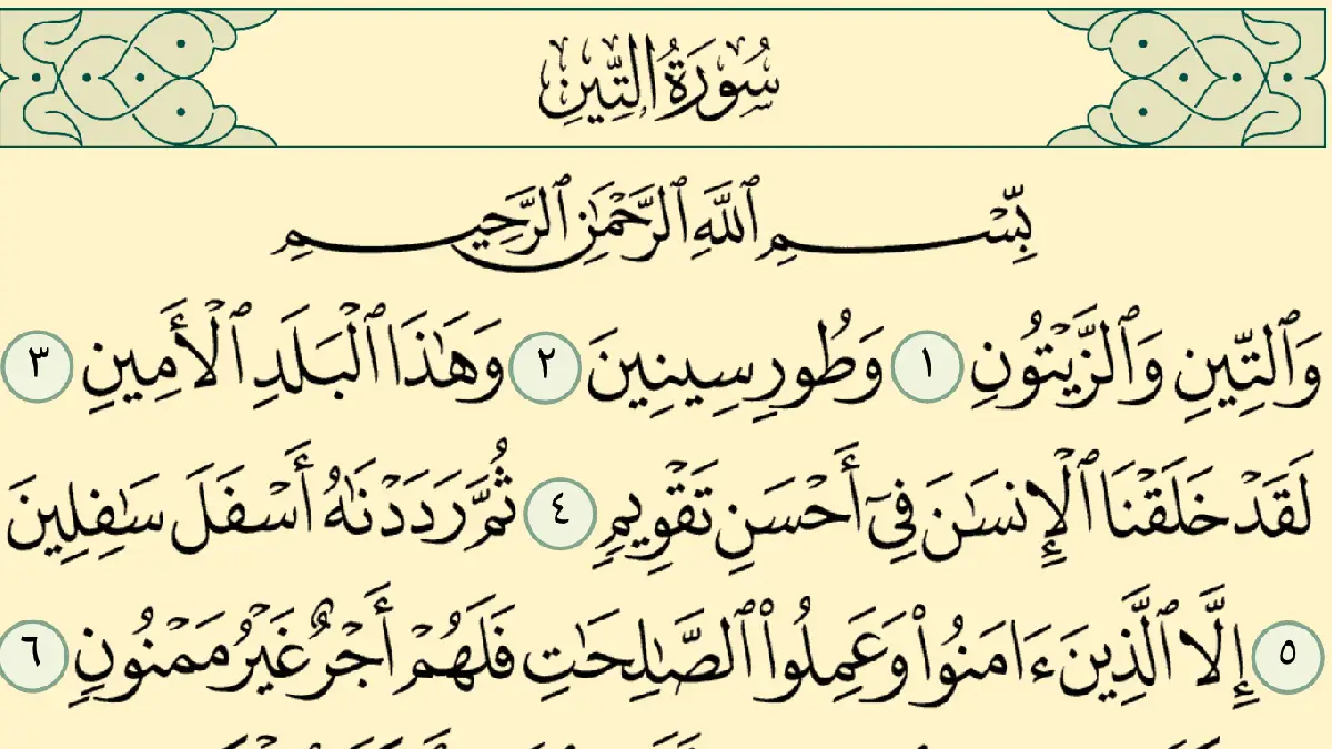 سورة التين وسبب نزولها وفضلها مع التفسير