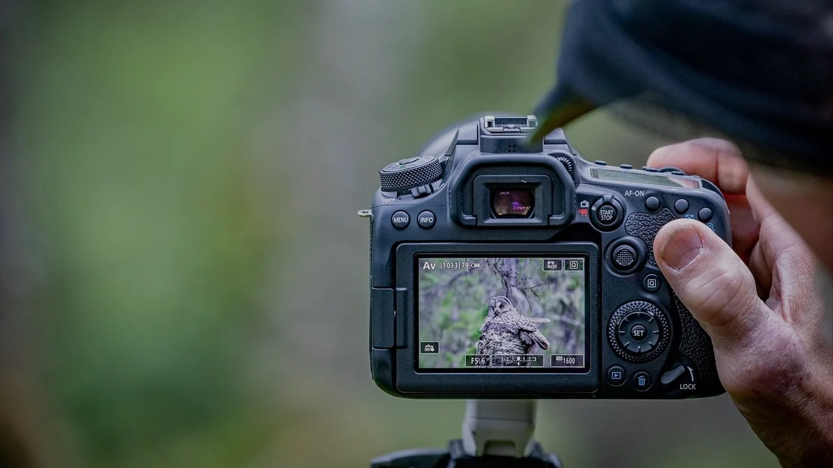 دليلك الشامل لأفضل الكاميرات في الأسواق 5 كاميرا Canon EOS 90D