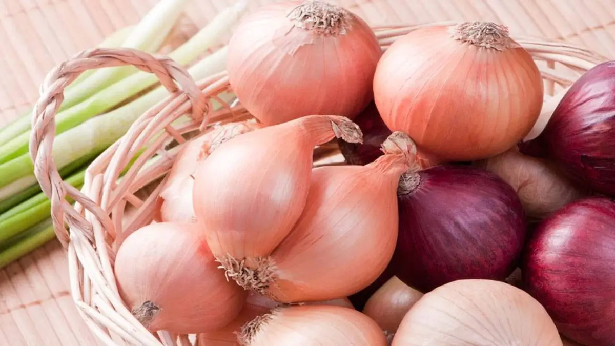ما هي فوائد البصل الجمالية والطبية 2022؟
