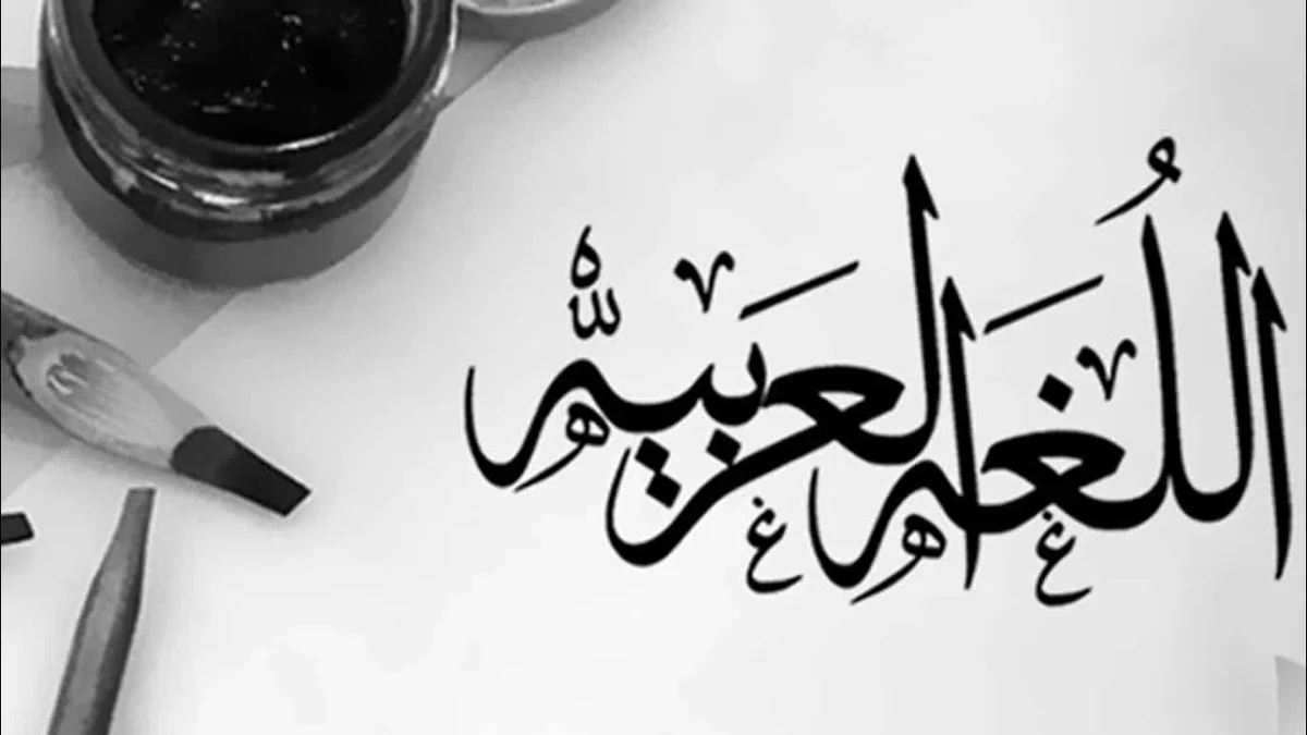 دليلك الشامل عن أدوات الجزم