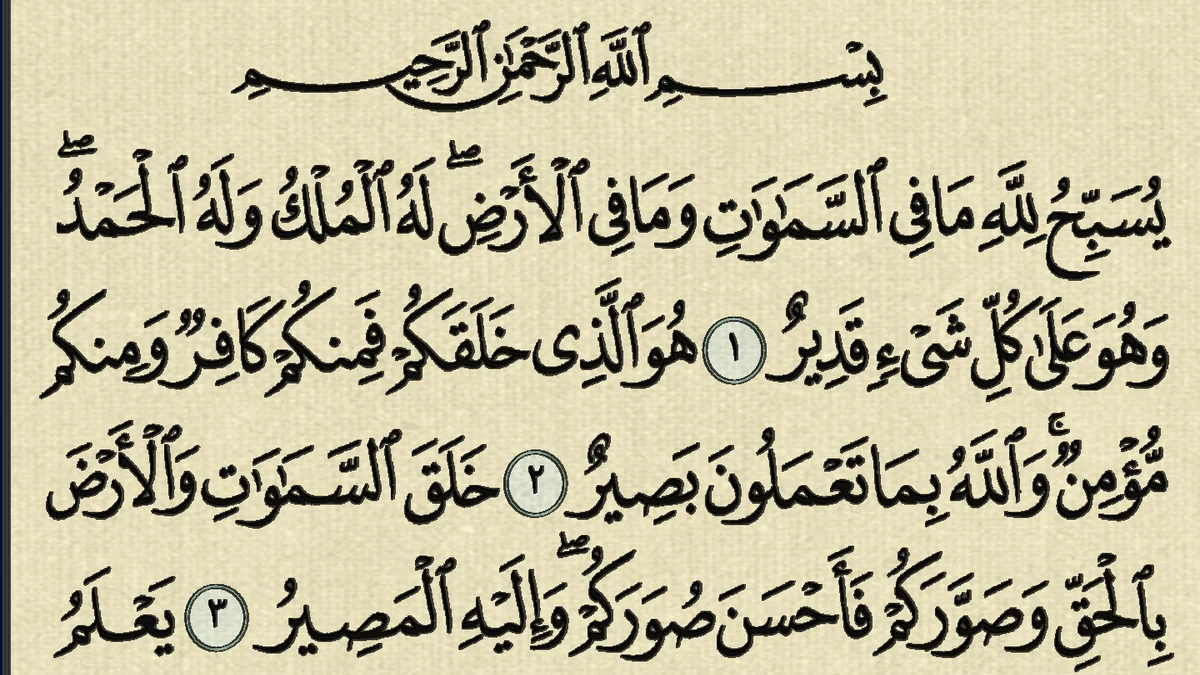 سورة التغابن وسبب نزولها وفضلها مع التفسير