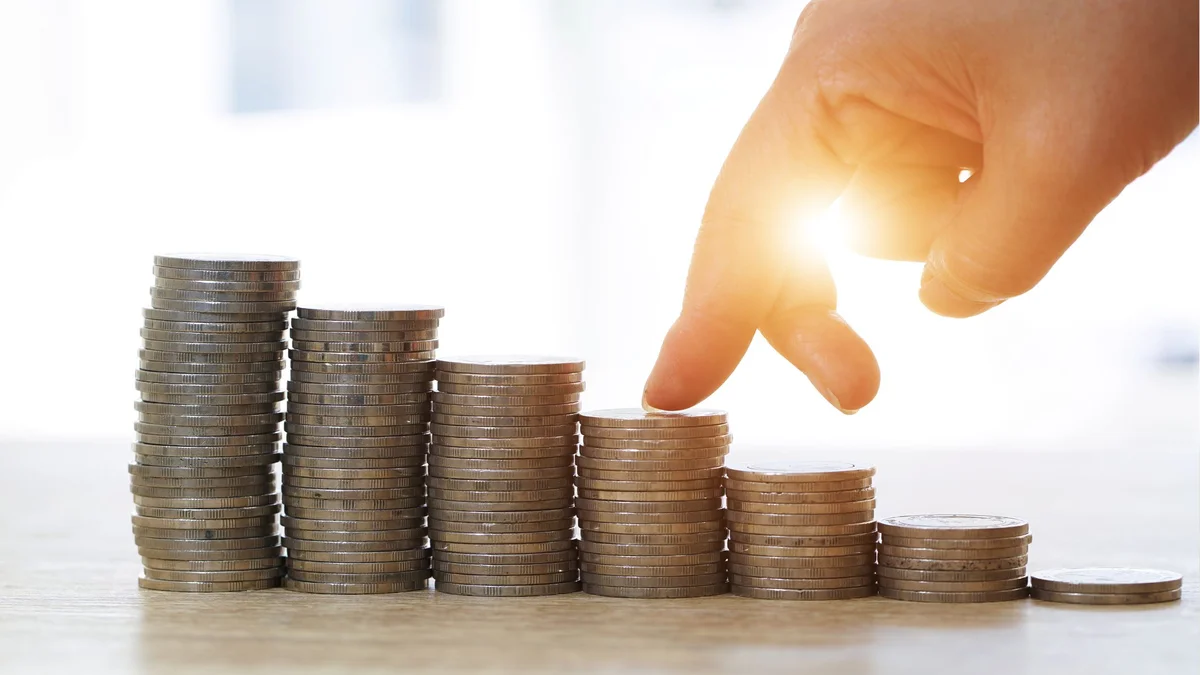 شركات تمويل الأفراد والمشاريع الصغيرة في الأردن