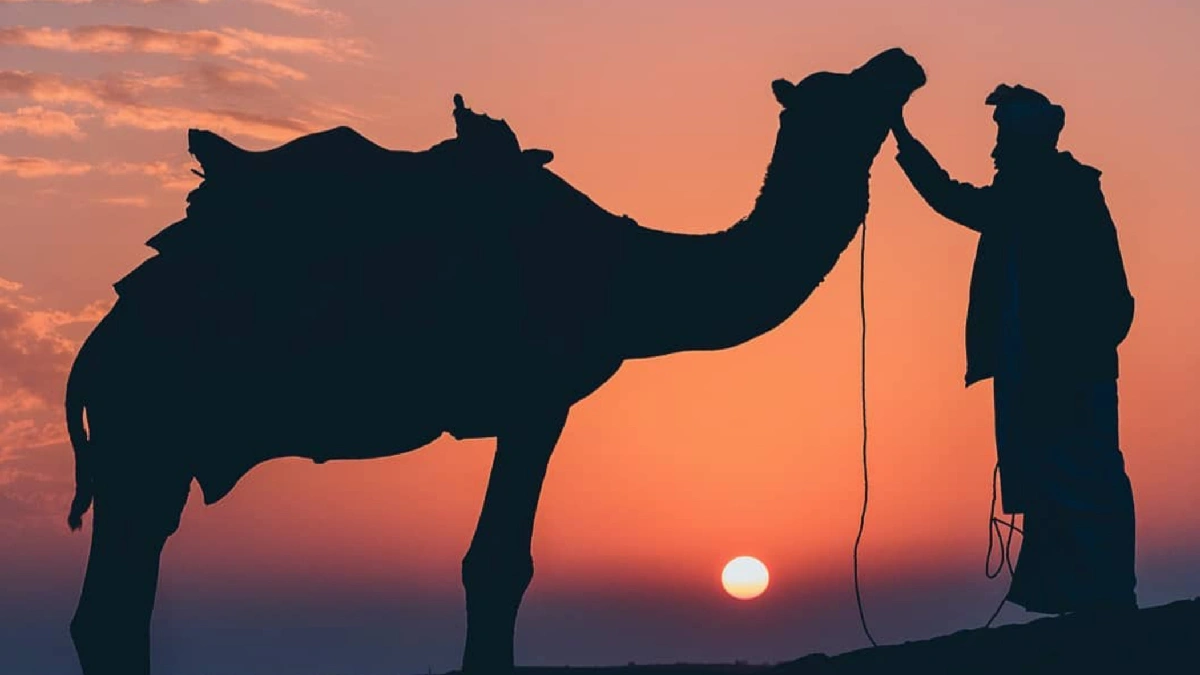 كيف خلق الله حواء والإنسان والإبل