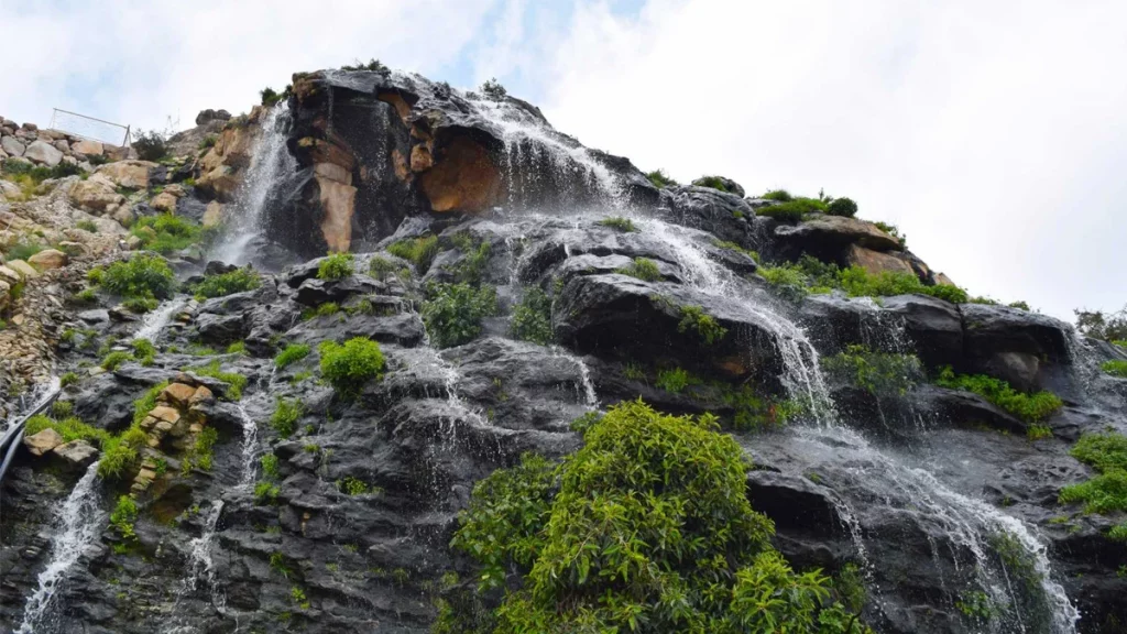 مدينة تنومة