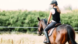 دليلك الشامل عن ركوب الخيل