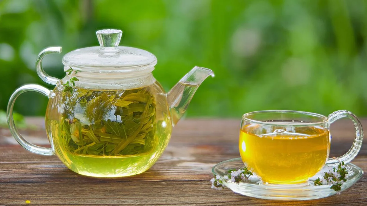 معلومات عن الشاي الأخضر