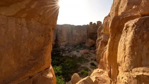 دليل شامل عن جبل القارة