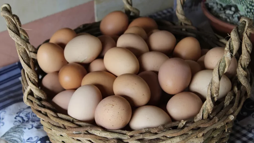 تفسير حلم البيض للحامل