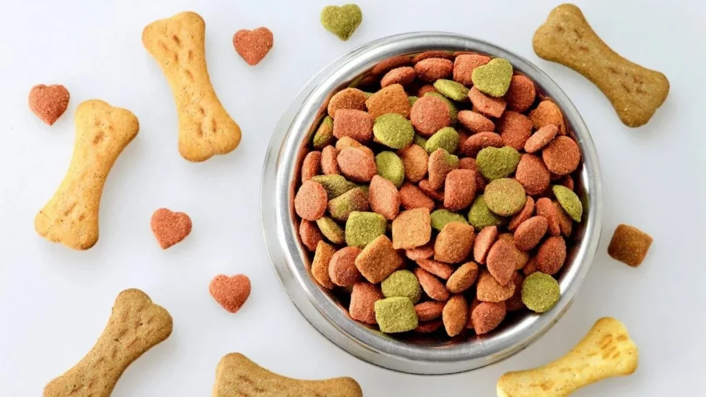 غذاء الكلاب