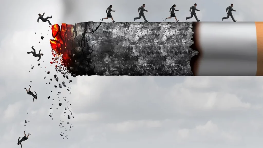 نبذة عن التبغ