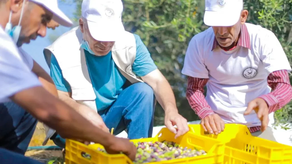 ما هي أهمية العمل التطوعي؟ 3 أهمية العمل التطوعي(2)