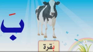 اسم حيوان نبات جماد بلاد بحرف ب
