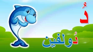 اسم حيوان نبات جماد بلاد بحرف د