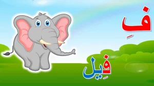 اسم حيوان نبات جماد بلاد بحرف ف