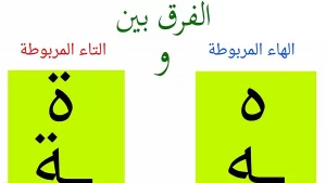 الفرق بين التاء المربوطة والهاء