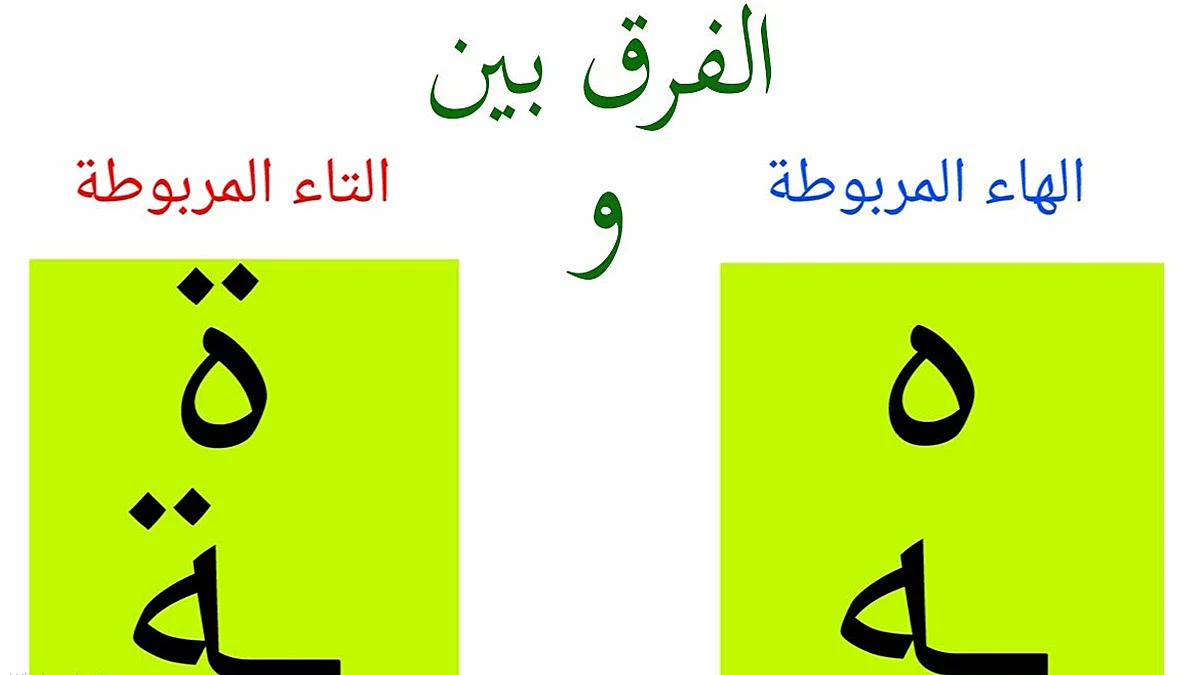الفرق بين التاء المربوطة والهاء 1 الفرق بين التاء المربوطة والهاء