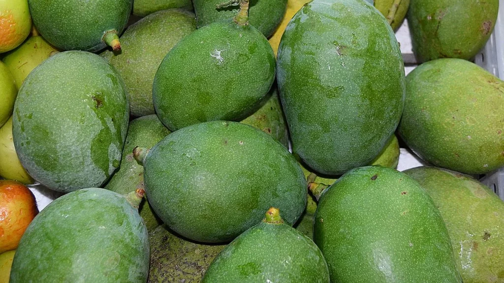 تفسير حلم المانجو الخضراء