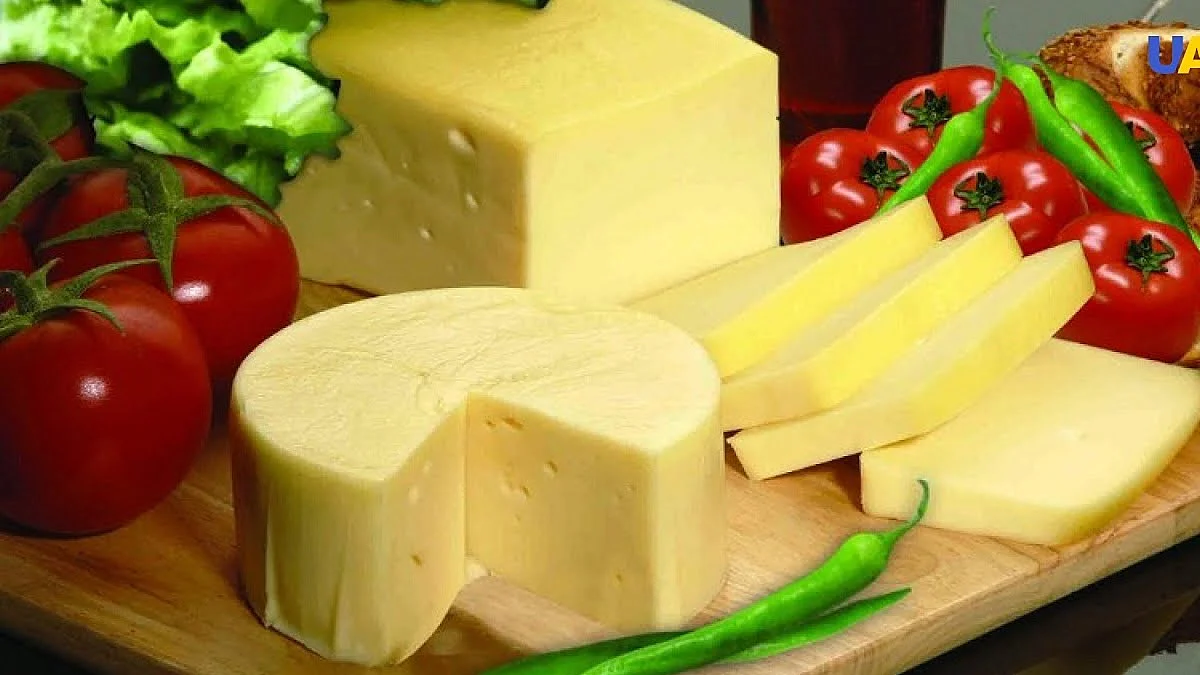 دليل شامل عن جبن قشقوان