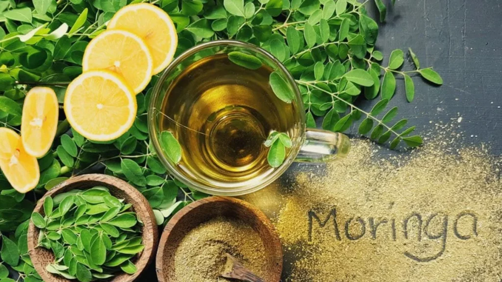 فوائد المورينجا للأمراض الصحية 7 أفضل وقت لشرب المورينجا