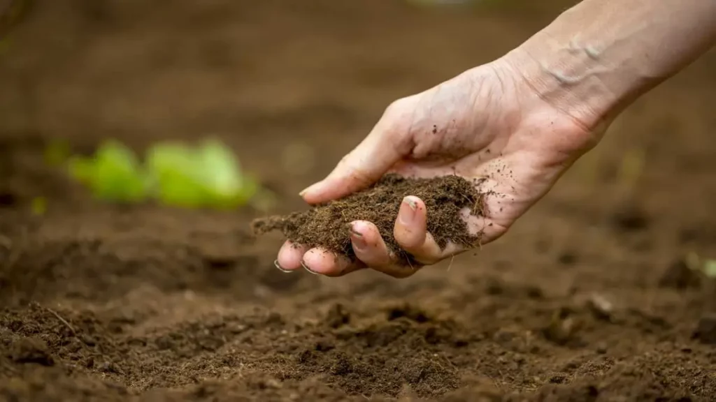 دليل شامل عن أنواع التربة 2 أنواع التربة(1)