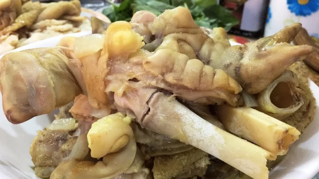 الباجة العراقية