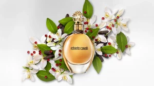 دليل شامل عن عطر روبرتو كفالي