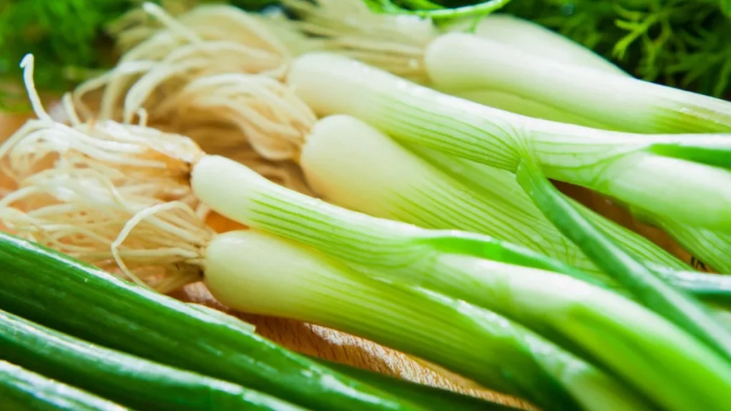 كل ما يجب معرفته عن البصل الأخضر 5 فوائد البصل الأخضر للكبد