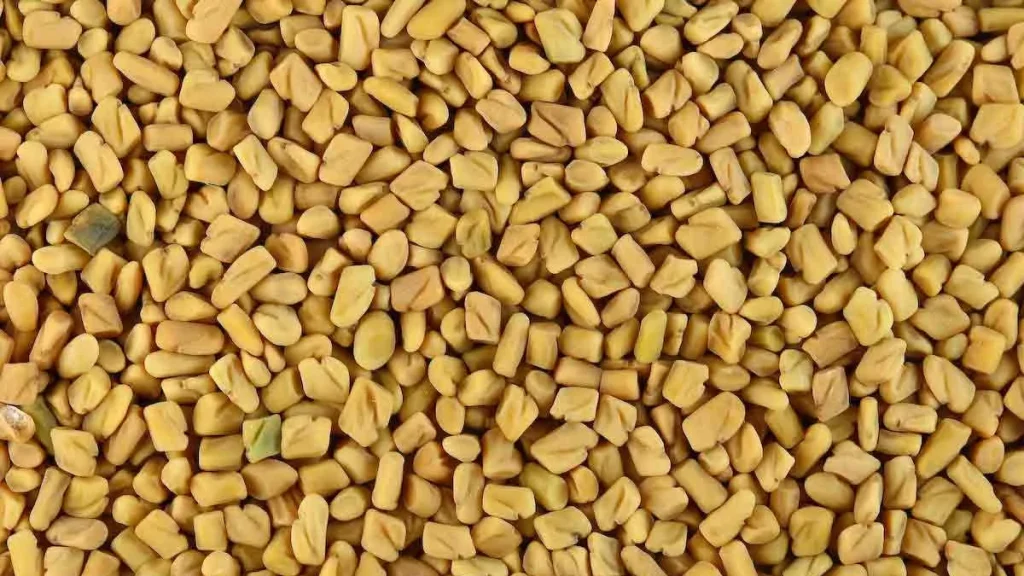 دليل شامل عن المحلب 5 فوائد المحلب حسب الجنس