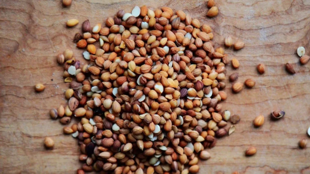 دليل شامل عن المحلب 4 فوائد المحلب للأمراض