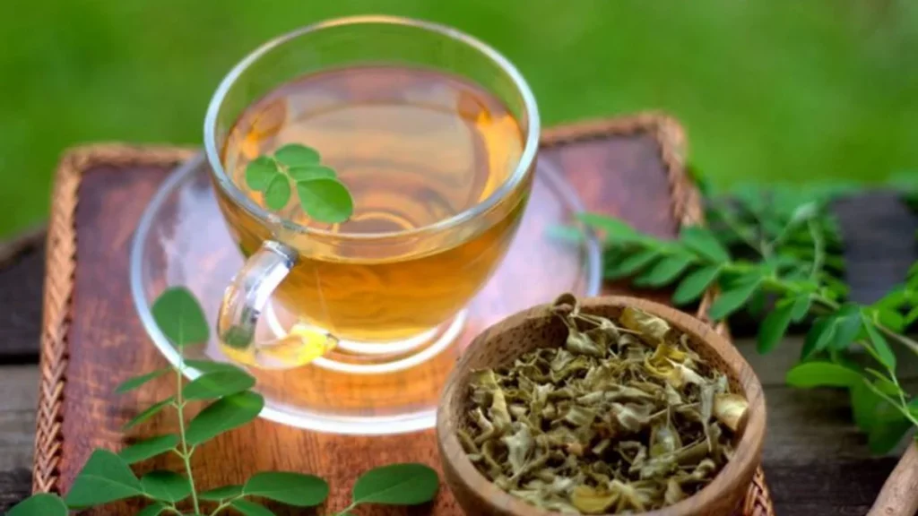 فوائد المورينجا للأمراض الصحية 5 فوائد المورينجا للسرطان