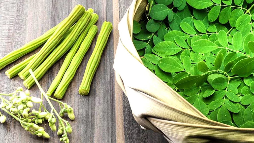 فوائد المورينجا للأمراض الصحية 4 فوائد المورينجا للسكر