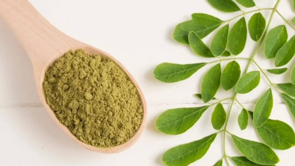 فوائد المورينجا للأمراض الصحية 11 فوائد عشبة المورينجا للاطفال