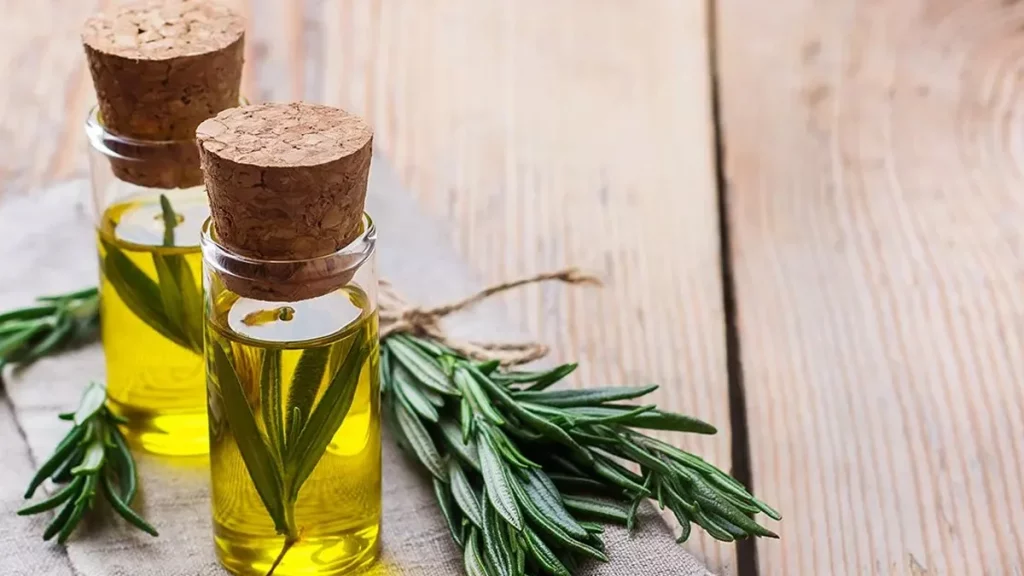 تعرّف على زيت شجرة الشاي وفوائده المذهلة 9 محاذير استخدام زيت شجرة الشاي