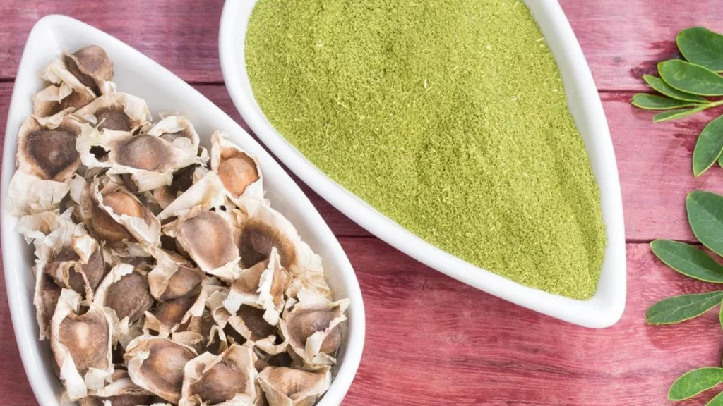 فوائد المورينجا للأمراض الصحية 12 منقوع المورينجا