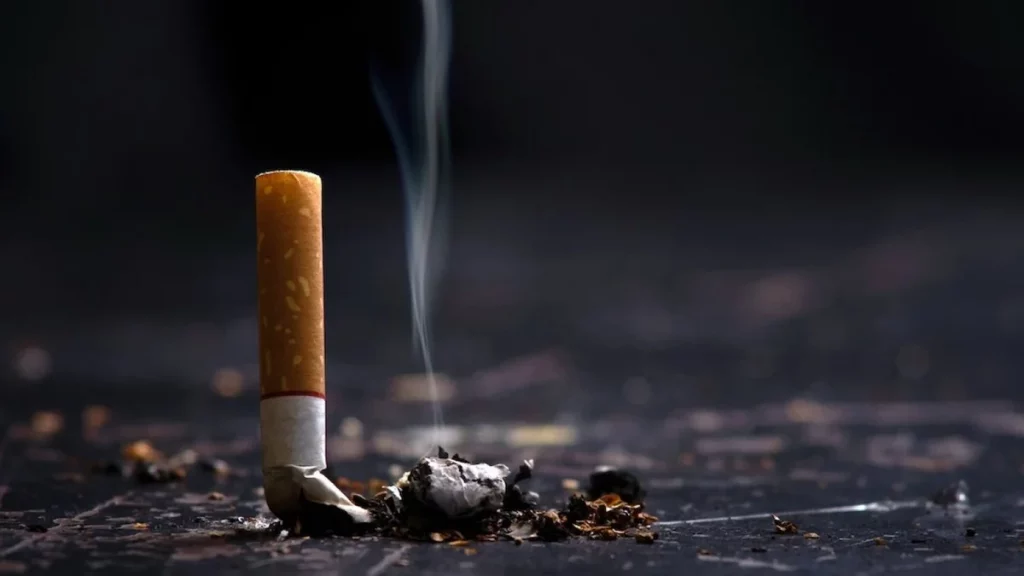 دليلك الشامل عن الإقلاع عن التدخين 2 نبذة عن الدخان والتدخين