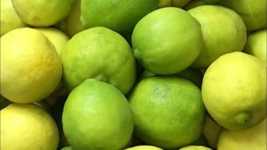 طريقة تخليل الليمون وفوائده المذهلة 3 الليمون الأخضر