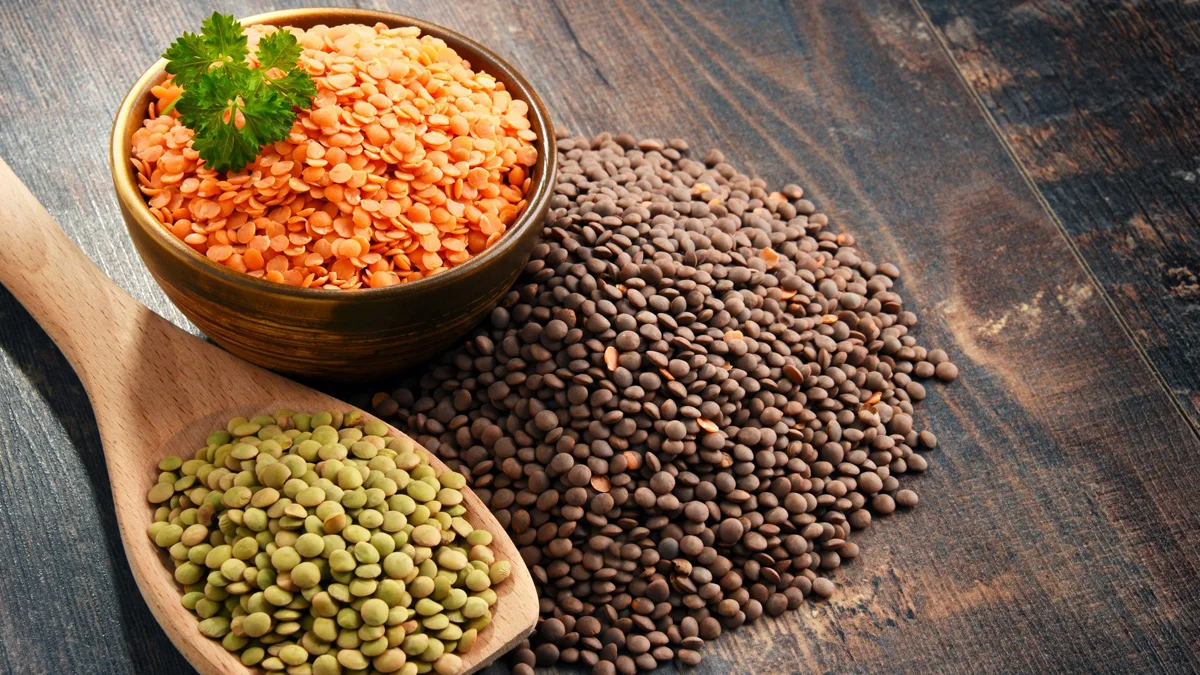 دليل شامل عن فوائد العدس وأضراره 1 دليل شامل عن فوائد العدس وأضراره