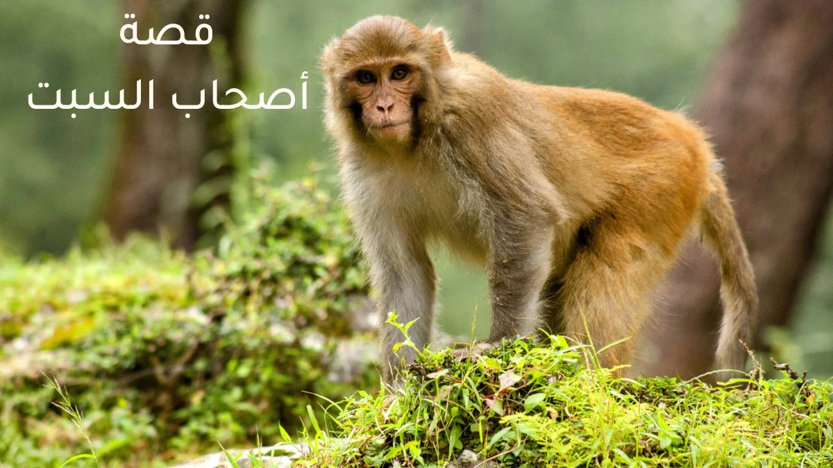قصة أصحاب السبت الكاملة 1 قصة أصحاب السبت الكاملة