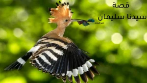 قصة سيدنا سليمان عليه السلام