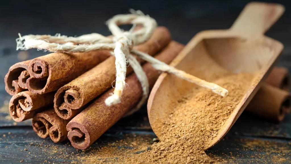 دليلك الشامل عن الدارسين وفوائده والأضرار 2 ما هي فوائد الدارسين؟