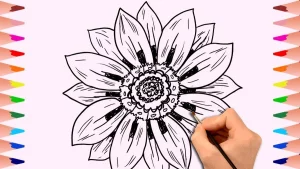 ما هي أنواع دفتر الرسم؟