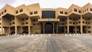 ما هي وظائف تخصص إدارة أعمال للفتيات والجامعات المتوفر بها التخصص؟