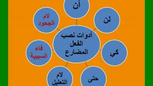 أدوات نصب الفعل المضارع وأمثلة عليها