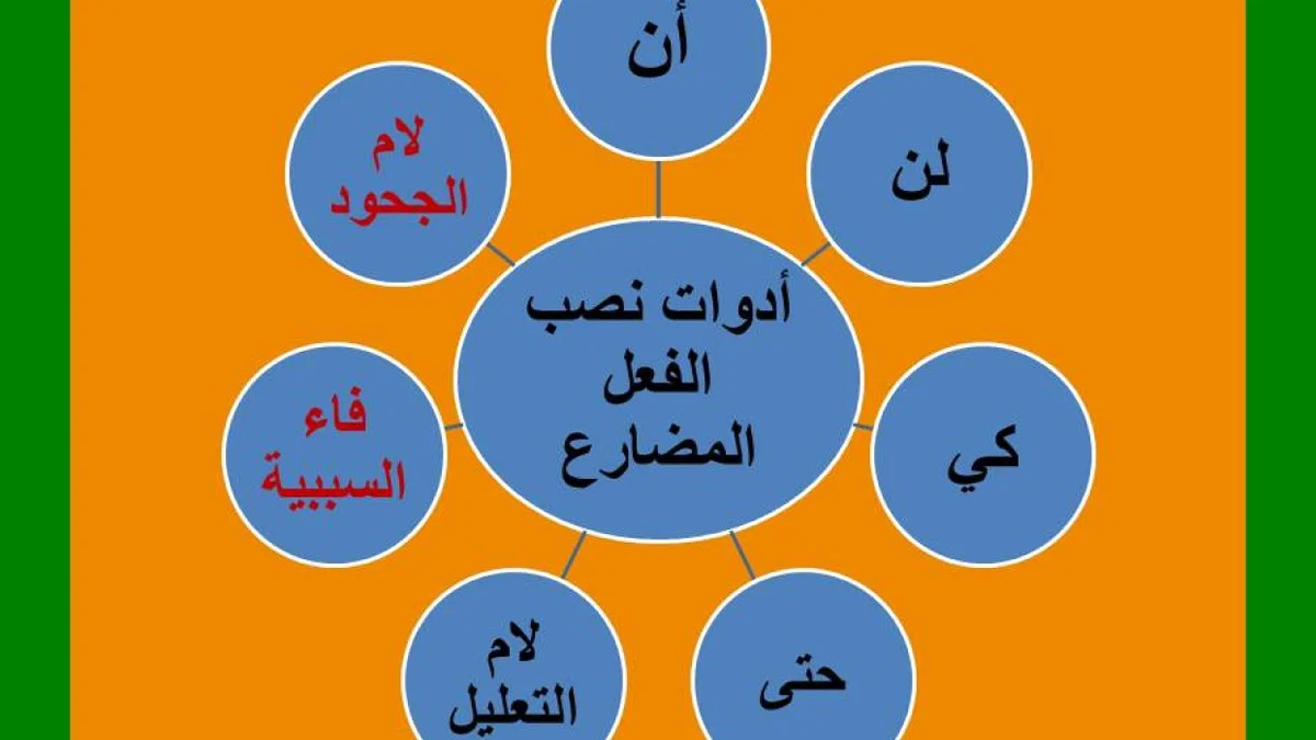 أدوات نصب الفعل المضارع وأمثلة عليها 1 أدوات نصب الفعل المضارع وأمثلة عليها