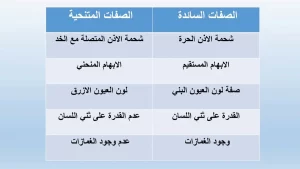 ما هي الصفة السائدة؟ وماذا يرمز لها؟