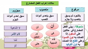 متى يكون الفعل المضارع مرفوعًا؟ وما هي الأمثلة على ذلك؟