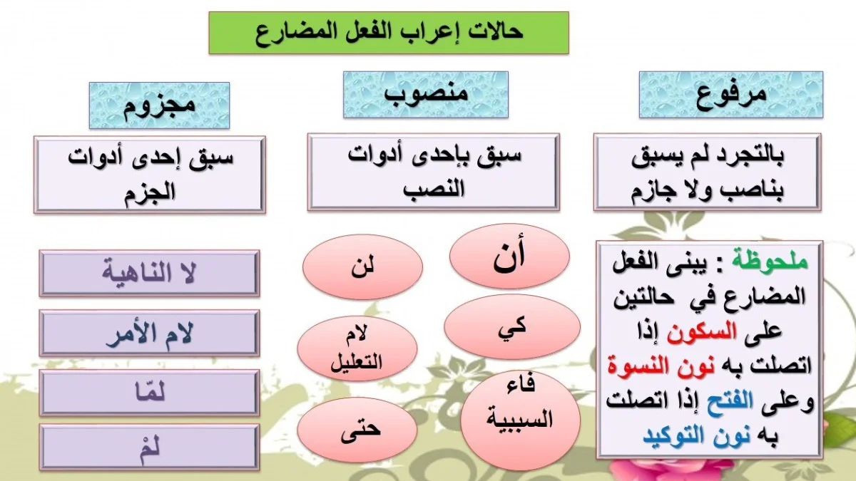 متى يكون الفعل المضارع مرفوعًا؟ وما هي الأمثلة على ذلك؟ 1 متى يكون الفعل المضارع مرفوعًا؟ وما هي الأمثلة على ذلك؟